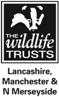 Group Logo